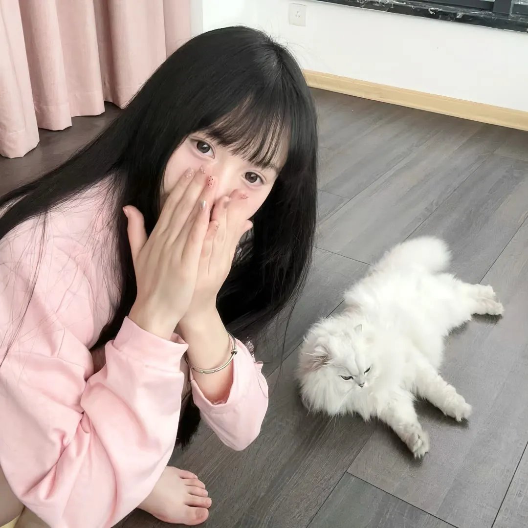 西北风云